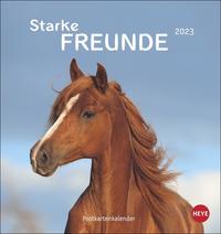 Pferde - Starke Freunde Postkartenkalender 2023. Pferdefotografin Sabine Stuewer setzt die edlen Tiere in einem kleinen Kalender perfekt in Szene. Hochwertiger Postkarten-Fotokalender.