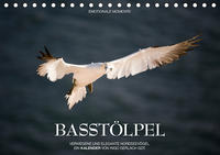 Emotionale Momente: Basstölpel / CH-Version (Tischkalender 2020 DIN A5 quer)