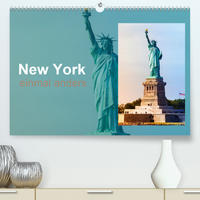 New York - einmal anders (Premium, hochwertiger DIN A2 Wandkalender 2020, Kunstdruck in Hochglanz)