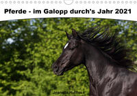 Pferde - im Galopp durch's Jahr 2021 (Wandkalender 2021 DIN A4 quer)