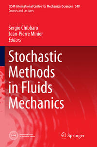 Stochastic Methods in Fluid Mechanics