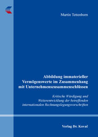 Abbildung immaterieller Vermögenswerte im Zusammenhang mit Unternehmenszusammenschlüssen