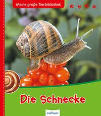 Meine große Tierbibliothek: Die Schnecke