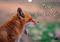 Tiere des Waldes (Wandkalender 2021 DIN A4 quer)