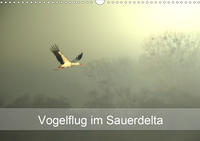 Vogelflug im Sauerdelta (Wandkalender 2020 DIN A3 quer)