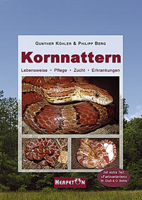 Kornnattern