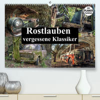 Rostlauben - vergessene Klassiker (Premium, hochwertiger DIN A2 Wandkalender 2023, Kunstdruck in Hochglanz)