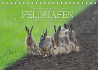 Emotionale Momente: Feldhasen / CH-Version (Tischkalender 2022 DIN A5 quer)