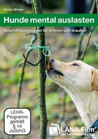 Hunde mental auslasten