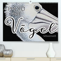 Vögel Schwarzweiß Photo Art (Premium, hochwertiger DIN A2 Wandkalender 2021, Kunstdruck in Hochglanz)