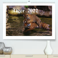 Tiger 2022 (Premium, hochwertiger DIN A2 Wandkalender 2022, Kunstdruck in Hochglanz)