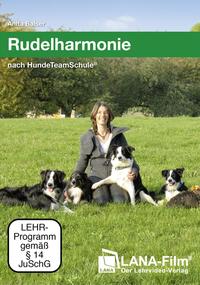 Rudelharmonie nach HundeTeamSchule®